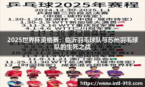 2025世界杯资格赛：临沂羽毛球队与苏州羽毛球队的生死之战